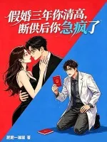 《假婚三年你清高,断供后你急疯了》小说封面