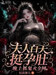 《夫人白天挺孕肚，晚上抓鬼火全网》小说封面