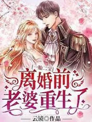 《离婚前老婆重生了》小说封面