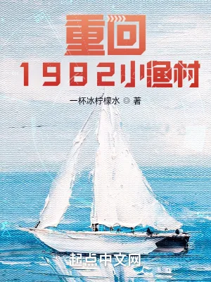 《重回1982小渔村》小说封面