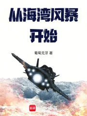 《从海湾风暴开始》小说封面