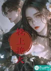 《枕上撩火》小说封面