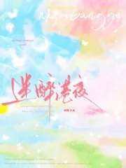 《迷醉港夜》小说封面