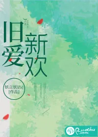 《旧爱新欢》小说封面
