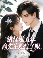 《错怪她五年，商先生跪红了眼》小说封面