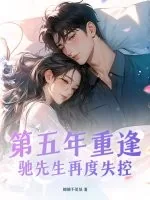 《第五年重逢，驰先生再度失控》小说封面