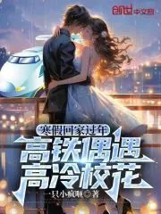 《寒假回家过年，高铁偶遇高冷校花》小说封面