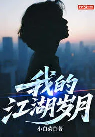 《我的江湖岁月》小说封面