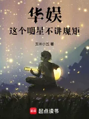 《华娱：这个明星不讲规矩》小说封面