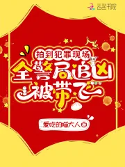 《拍到犯罪现场，全警局追凶被带飞》小说封面