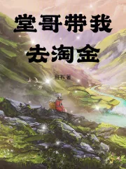《堂哥带我去淘金》小说封面