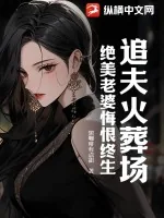 《追夫火葬场，绝美老婆悔恨终生》小说封面