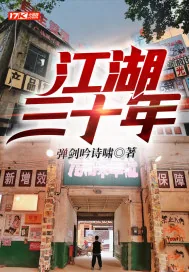 《江湖三十年》小说封面