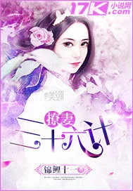 《撩妻三十六计》小说封面