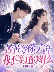 《苦苦等你六年,我不等了你哭什么》小说封面