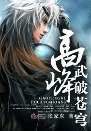 《高峰武破苍穹》小说封面