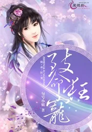 《致命狂宠》小说封面