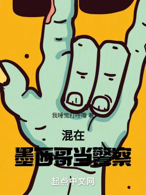 《混在墨西哥当警察》小说封面