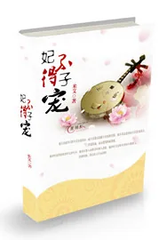 《妃子不得宠》小说封面