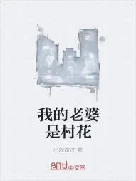 《我的老婆是村花》小说封面