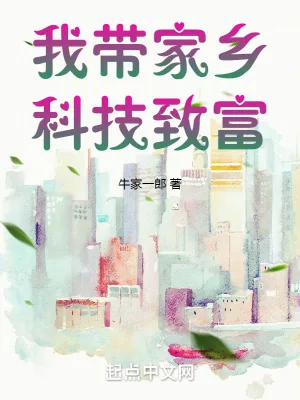 《我带家乡科技致富》小说封面