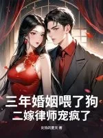 《三年婚姻喂了狗,二嫁律师宠疯了》小说封面