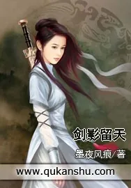 《剑影留天》小说封面