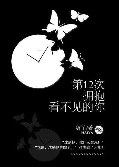 《第12次拥抱看不见的你》小说封面