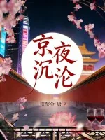 《京夜沉沦》小说封面
