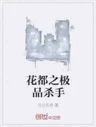 《花都之极品杀手》小说封面