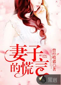 《妻子的谎言》小说封面