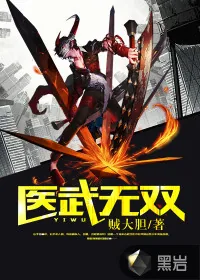 《医武无双》小说封面