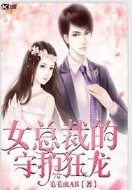 《女总裁的守护狂龙》小说封面