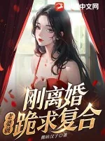 《刚离婚，老婆就跪求复合》小说封面