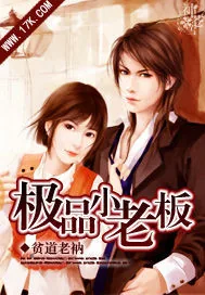 《极品小老板》小说封面