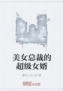 《美女总裁的超级女婿》小说封面