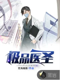 《极品医圣》小说封面