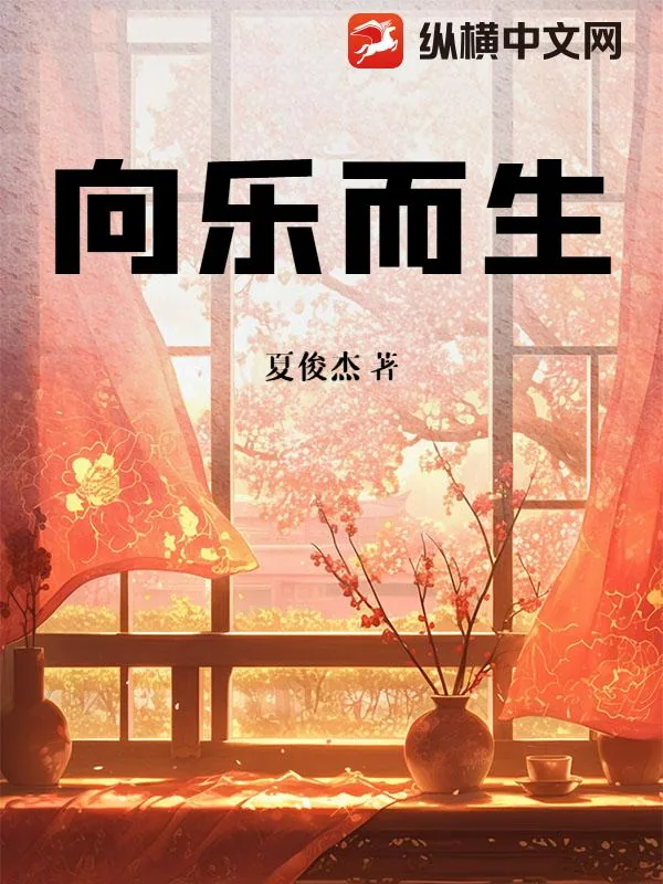 《向乐而生》小说封面