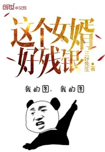 《这个女婿好残银》小说封面