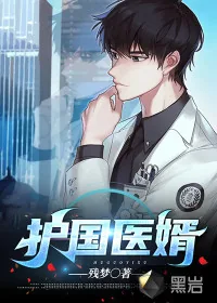 《护国医婿》小说封面