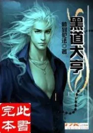 《江湖大亨》小说封面