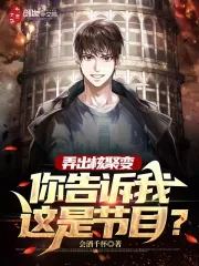 《弄出核聚变，你告诉我这是节目？》小说封面