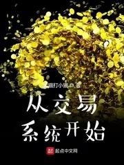 《从交易系统开始》小说封面