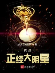 《我是正经大明星》小说封面
