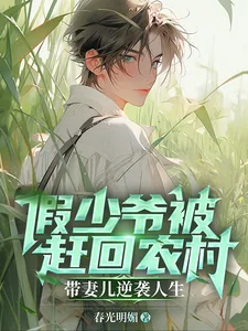 《假少爷被赶回农村带妻儿逆袭人生》小说封面