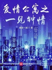 《爱情公寓之一见钟情》小说封面