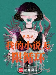 《半岛之我的小说无限循环》小说封面