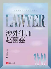 《涉外律师赵慕慈》小说封面