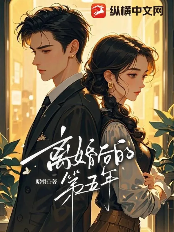 《离婚后的第五年》小说封面