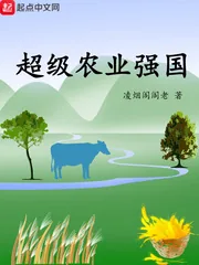 《超级农业强国》小说封面
